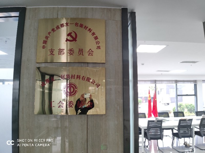 热烈祝贺GA黄金甲(中国)最新官方网站集团成都分公司党支部在2020年3月11日授牌成立，支部书记曹云(行政部经理)